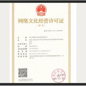 網(wǎng)絡文化經(jīng)營許可證 定義、申請流程與行業(yè)意義