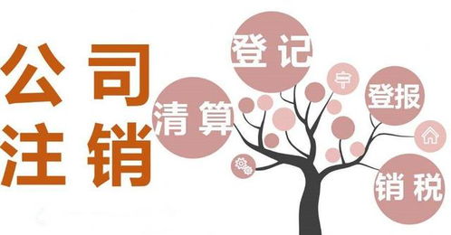 成都網(wǎng)絡(luò)文化經(jīng)營許可證代辦 個(gè)體戶注冊(cè)辦理